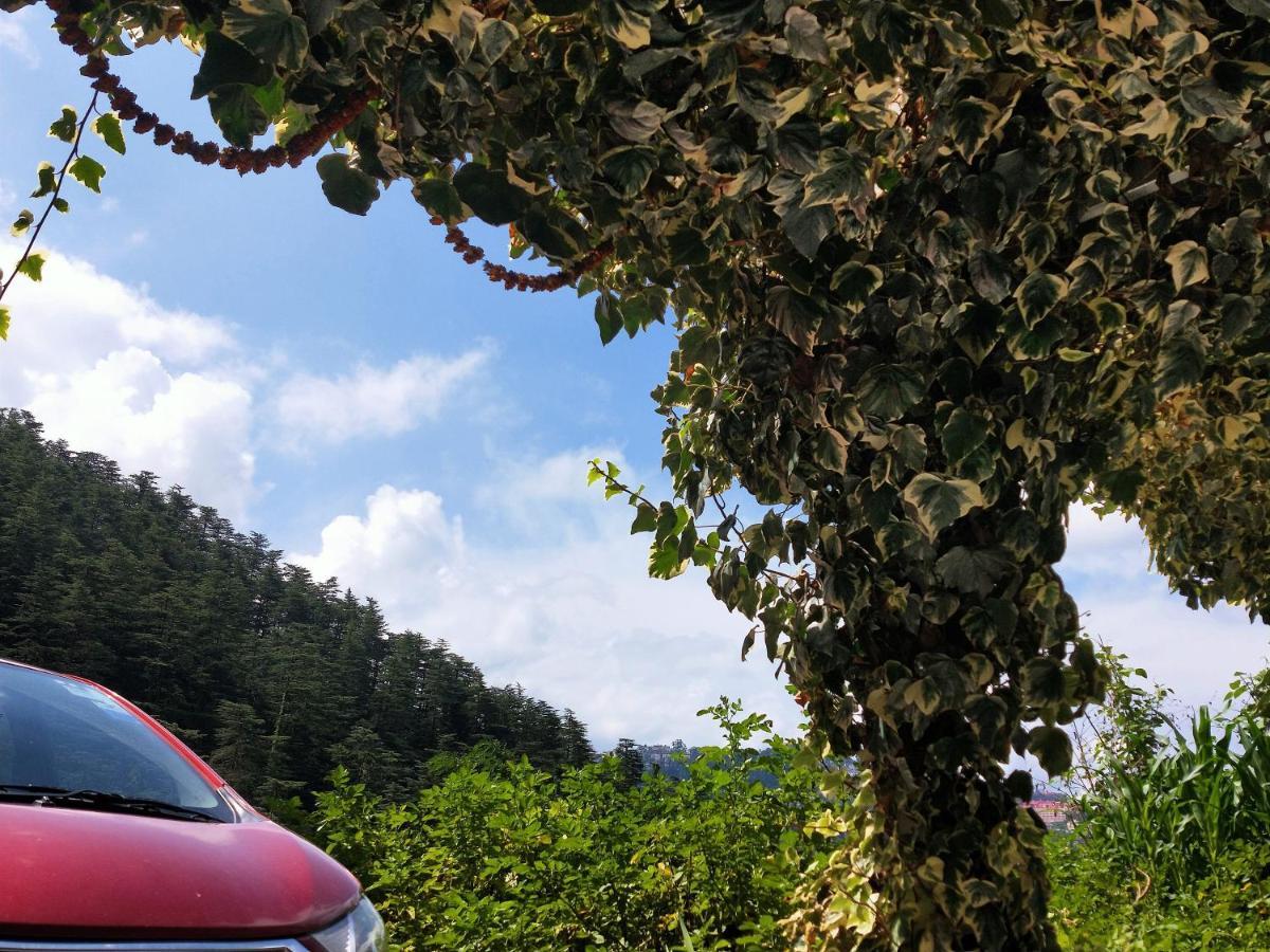 Neha Homestay ชิมลา ภายนอก รูปภาพ