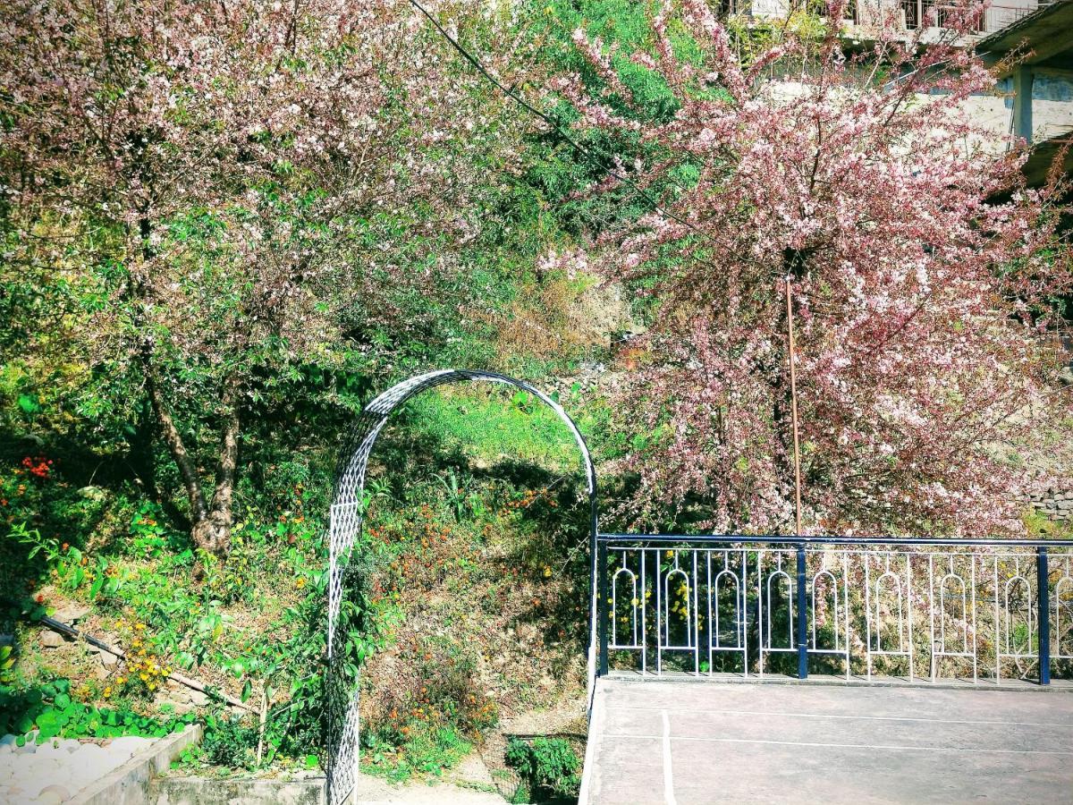Neha Homestay ชิมลา ภายนอก รูปภาพ