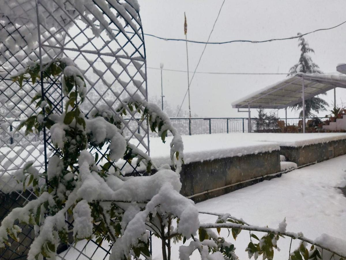 Neha Homestay ชิมลา ภายนอก รูปภาพ